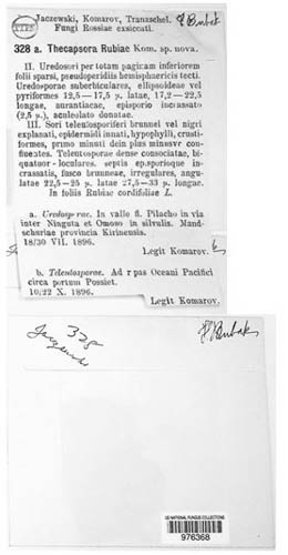 Pucciniastrum rubiae image